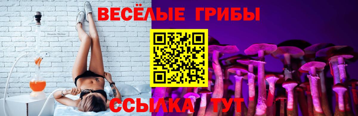 Галлюциногенные грибы Psilocybe  Галлюциногенные грибы Psilocybine cubensis  Назрань  Вход с VPN 